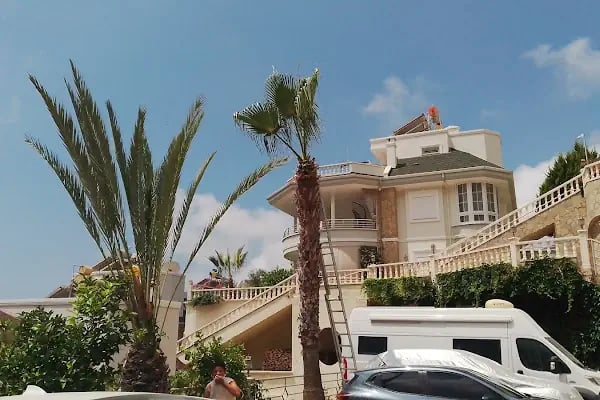 Mobil bahcivan-bahçe düzenleme-bahçe bakimi- temizlik-tadilat BEKİR MİNAZ - Resim 20