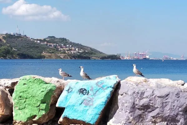 Yurtiçi Kargo Gemlik - Resim 9