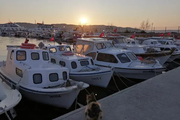 Yurtiçi Kargo Gemlik - Resim 2