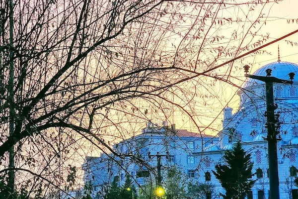 Gaziosmanpaşa Cami - Resim 5