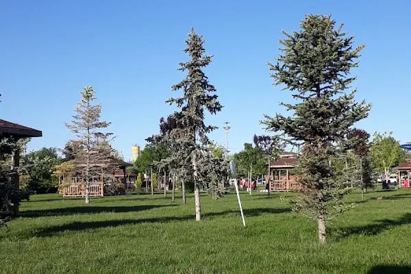 Karatay Şehir Parkı - Resim 6