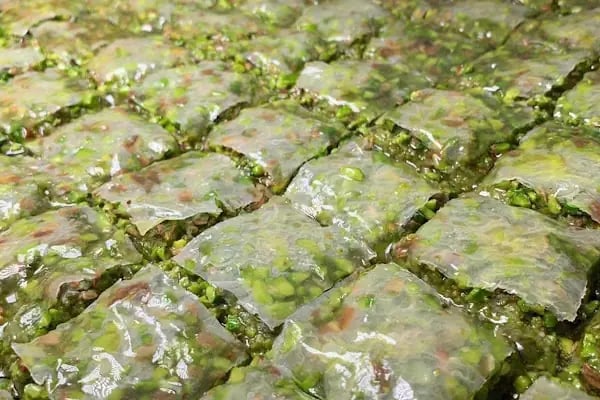 Urfa yörem baklavaları - Resim 2