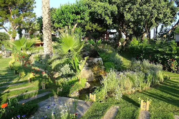 Marvel Tree Hotel - Resim 10