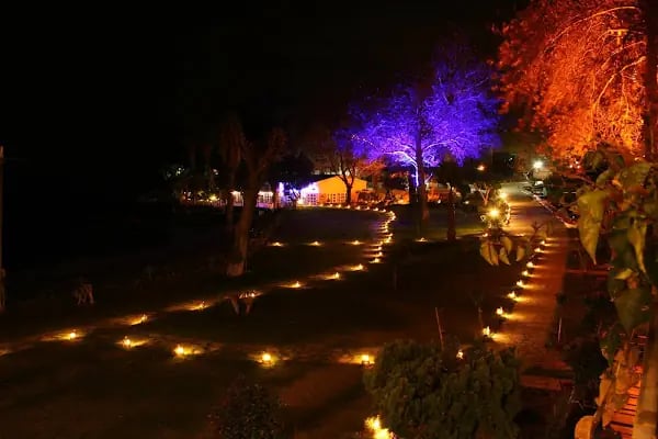Marvel Tree Hotel - Resim 20