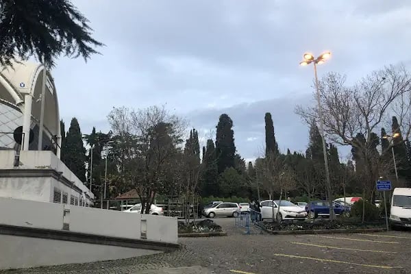 Adile NAŞİT'in Mezarı - Resim 18