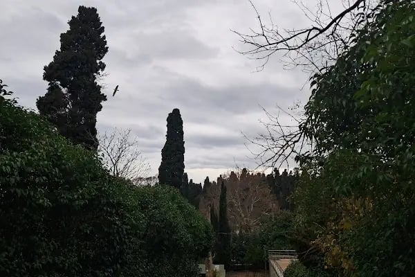 Adile NAŞİT'in Mezarı - Resim 15