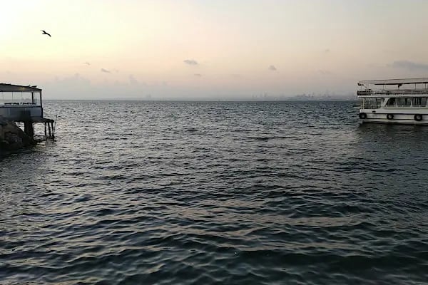 Kaya Cafe - Resim 10