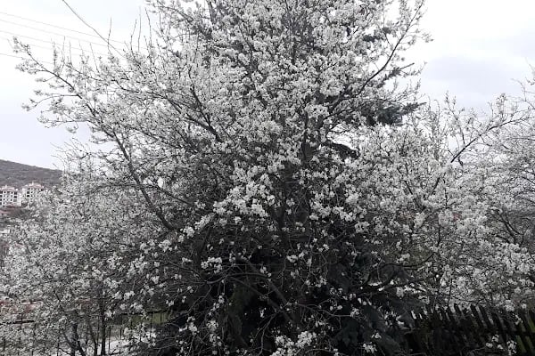 Gürsoylar Rezidans - Resim 12
