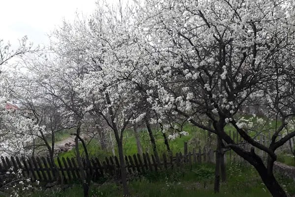Gürsoylar Rezidans - Resim 16
