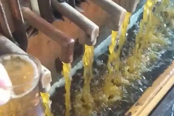 Sıfır Atık Bio Enerji Geridönüşüm Motor,Şanzıman,Kartel,Hidrolik Atik Yağ ve Endüstriyel yağ A.S. - Resim 19