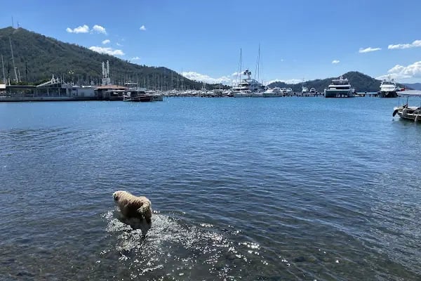 Göcek Port - Resim 2