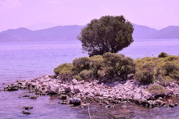 Göcek Port - Resim 15