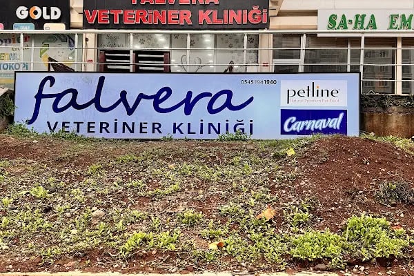 Falvera Veteriner Kliniği (YUSUF KETRE) - Resim 1