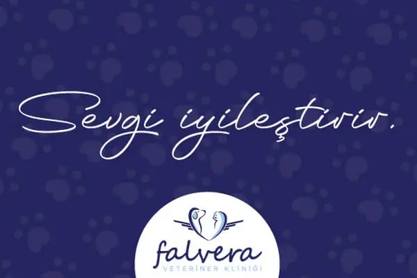 Falvera Veteriner Kliniği (YUSUF KETRE) - Resim 20