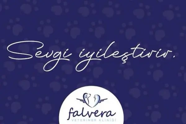 Falvera Veteriner Kliniği (YUSUF KETRE) - Resim 18