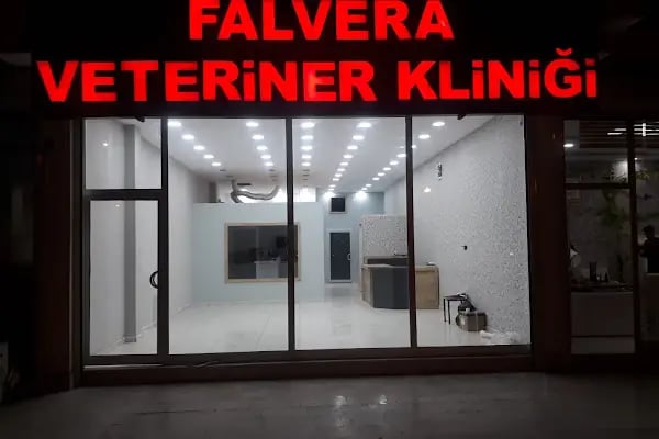 Falvera Veteriner Kliniği (YUSUF KETRE) - Resim 3