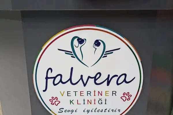 Falvera Veteriner Kliniği (YUSUF KETRE) - Resim 4