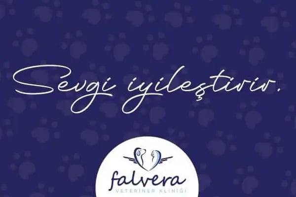 Falvera Veteriner Kliniği (YUSUF KETRE) - Resim 17
