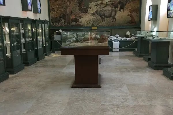 Muğla Arkeoloji Müzesi - Resim 3