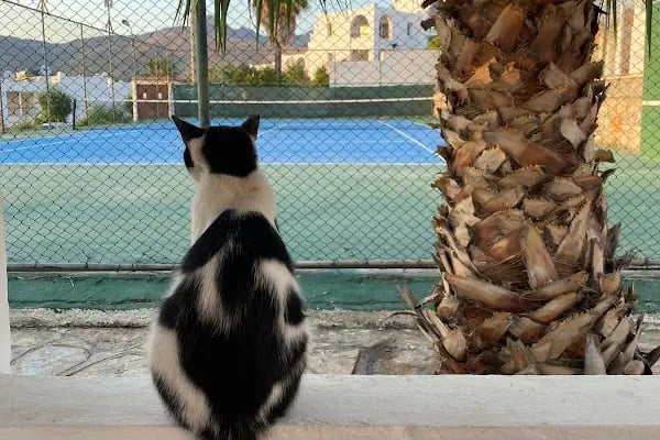 Bi’ Tenis Rüyakent Bodrum - Resim 4