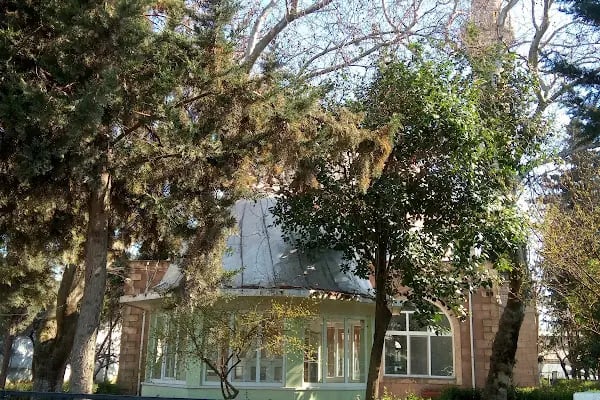 Ağır Sanayi Cami - Resim 6