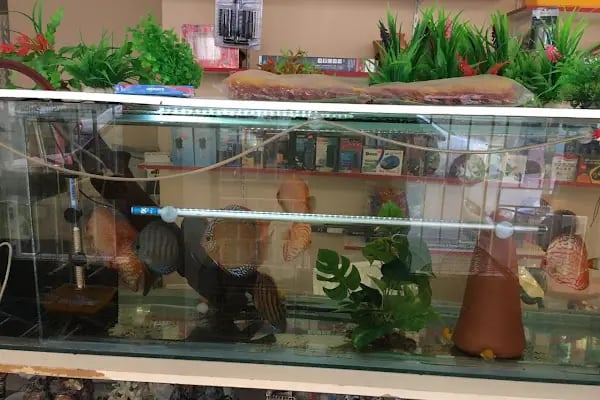 MALTA PETSHOP - Resim 2
