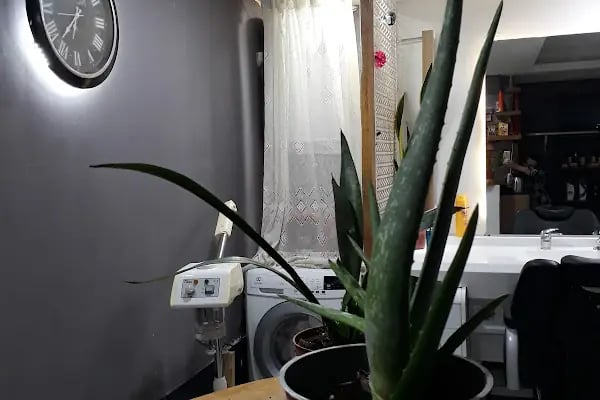 Erdi Serbest kuaför salonu - Resim 11