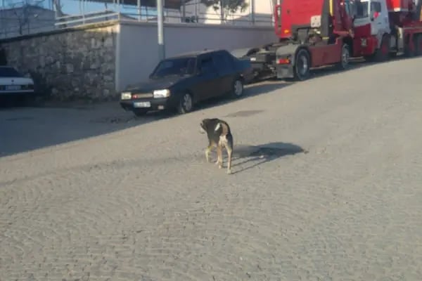 Bergama İtfaiye Müdürlüğü - Resim 5