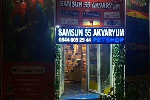 Samsun 55 Akvaryum - Resim 2