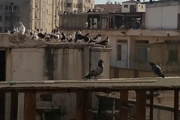 Gaziantep Princess Hotel - Resim 18