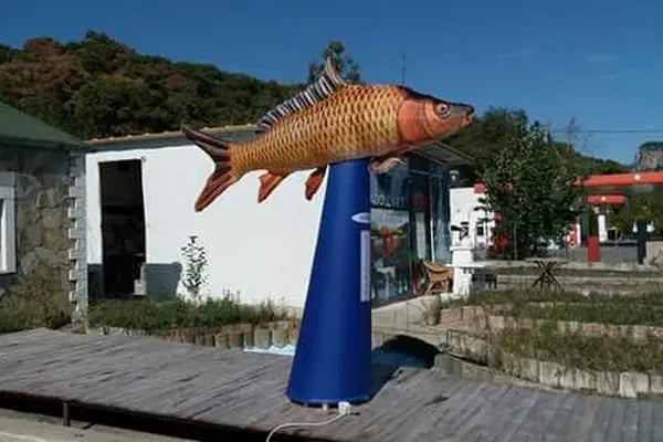 Bayır balık restaurant - Resim 13