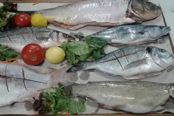 Bayır balık restaurant - Resim 16