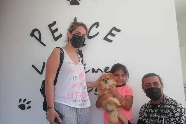 Peace Veteriner Kliniği - Resim 4