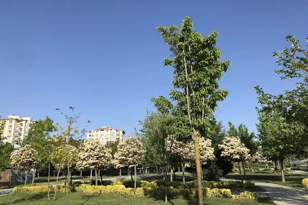 Büyük Atatürk Parkı - Resim 16