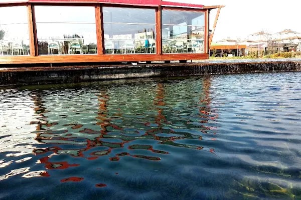 Büyük Atatürk Parkı - Resim 15