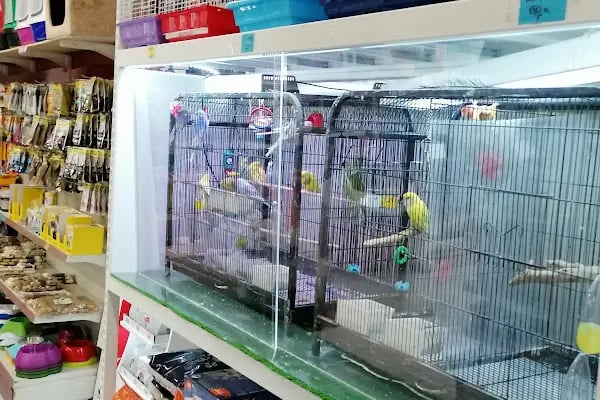 Arkadaş Pet Akvaryum - Resim 10