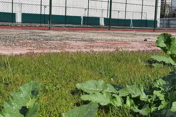 Diyarbakır opta tenis - Resim 8