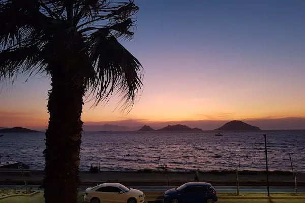 Met in Çıngiloğlu - Resim 7