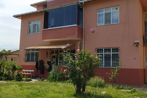 Birgül Terzi - Resim 4