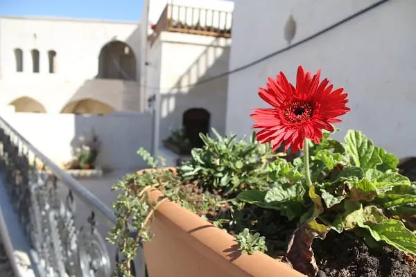 Kasrı Canan Butik Otel - Halfeti Kahvaltı - Halfeti Kafe - Resim 11