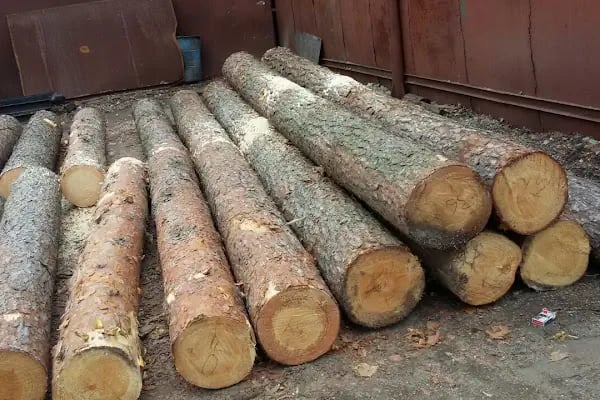Altunoğulları Kereste Plywood - Resim 19