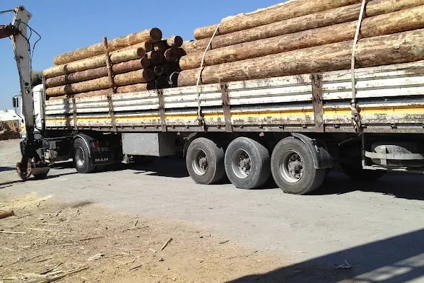 Altunoğulları Kereste Plywood - Resim 20