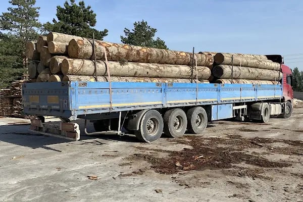 Altunoğulları Kereste Plywood - Resim 4