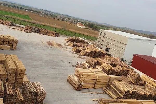 Altunoğulları Kereste Plywood - Resim 5
