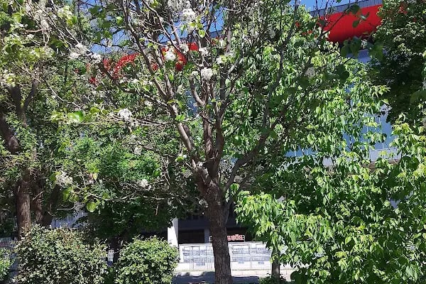 1. Çiçek Parkı - Resim 11