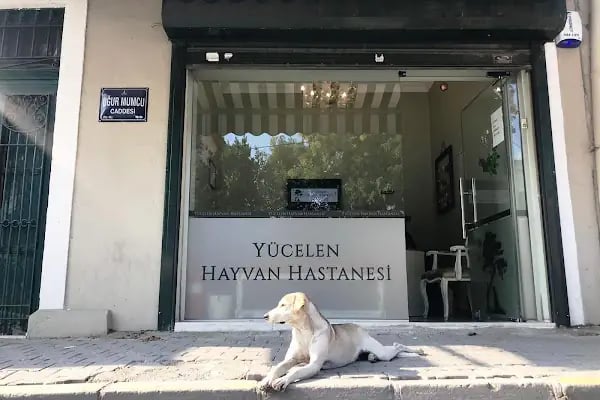 YÜCELEN HAYVAN HASTANESİ - Resim 7