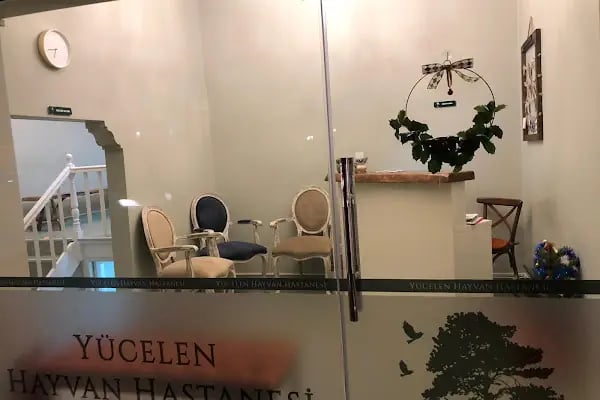YÜCELEN HAYVAN HASTANESİ - Resim 11
