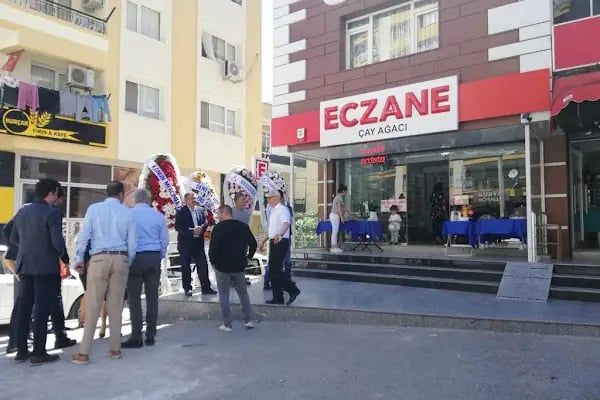 Çay Ağacı Ezanesi - Resim 2