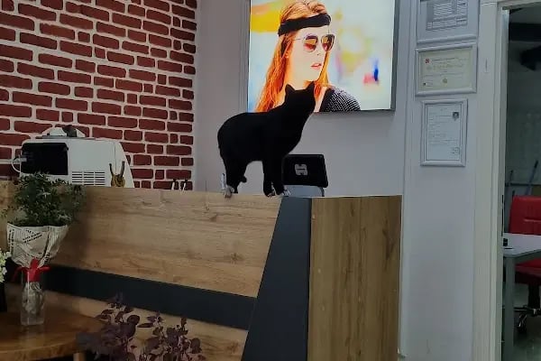 Adem Optik Adana Tellidere Gözlükçü - Resim 12