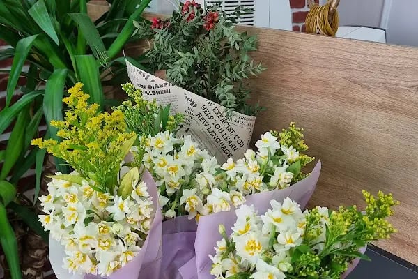 Adem Optik Adana Tellidere Gözlükçü - Resim 7